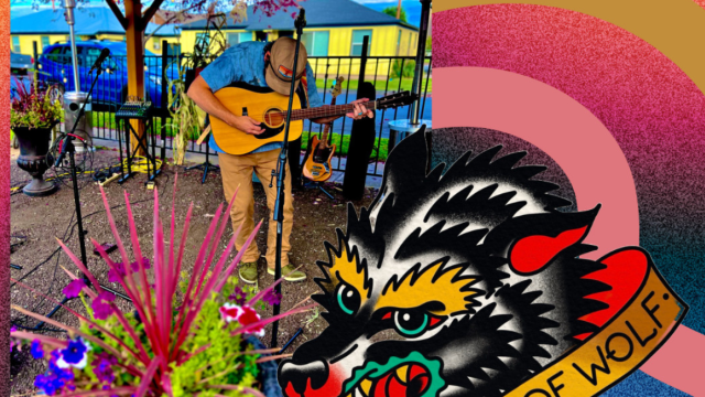 A solo musician plays an acoustic guitar on an outdoor covered patio stage, standing near microphones and sound equipment. Colorful flowers in a planter sit in the foreground, with a decorative wolf illustration and warm, vibrant graphic elements framing the scene.
