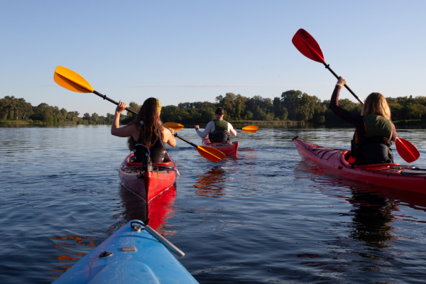 Three people are kayaking in the Deschutes river surrounded by greenery, paddling under a clear sky in Bend, Oregon