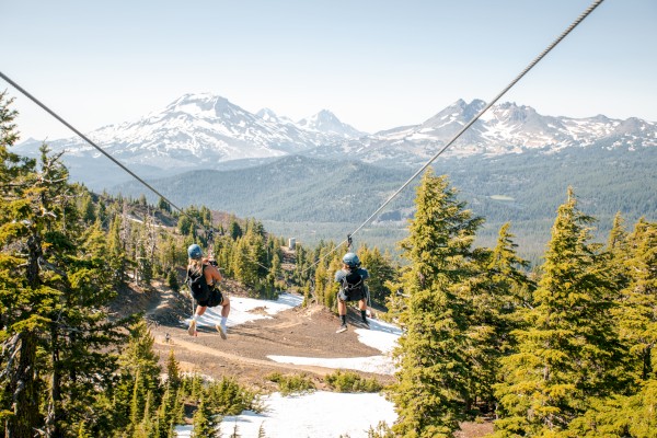 Two people zip-lining over a scenic forest landscape with snow-capped mountains in the background under a clear blue sky.