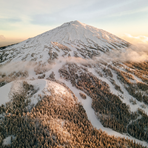 Snow-covered mountain peak with surrounding forest and a soft sunrise or sunset glow in the sky.