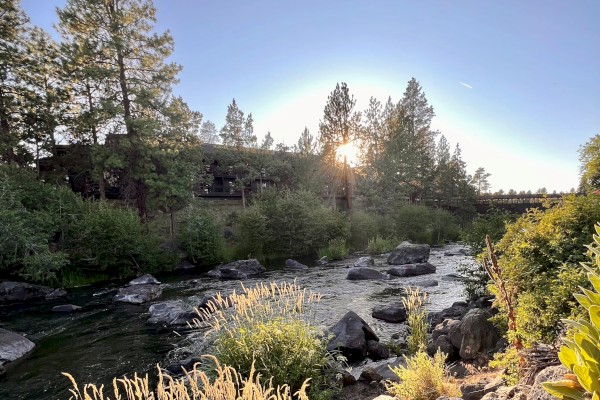 A serene river flows through rocks and grass under a clear blue sky, with the sun setting behind tall trees in the background.