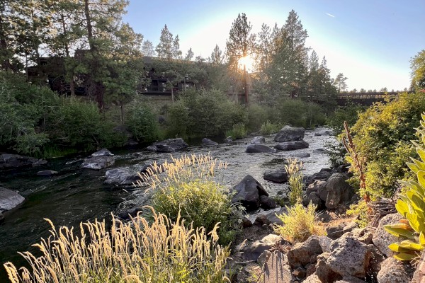 A serene river scene with sunlight shining through trees, rocks, and greenery, creating a peaceful natural landscape.