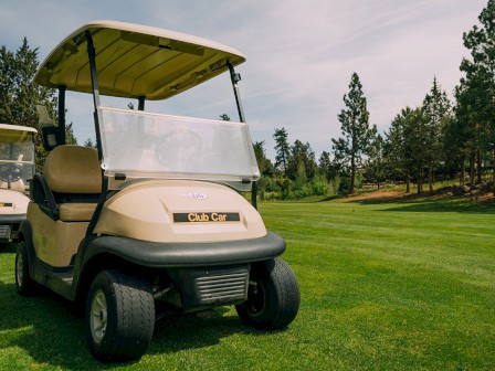 Two beige golf carts are parked on a golf course with green grass and trees in the background under a partly cloudy sky.