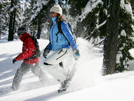 Two people are snowshoeing through a snowy forest, one wearing red and the other in blue and white gear, under a clear sky.