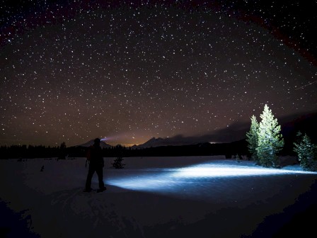 A person stands in a snowy landscape at night, illuminated by a flashlight, with a sky full of stars above them, and a tree glowing in the light.
