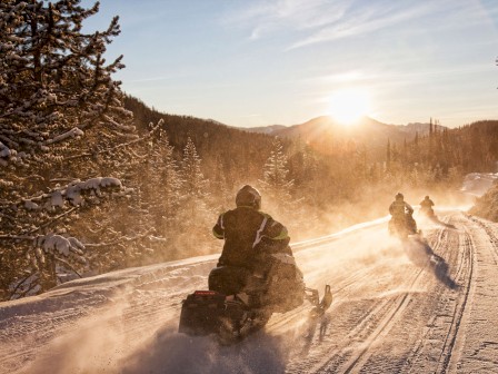 Three snowmobilers riding on a snowy trail during a sunset through a pine forest; snow dust rising behind them creating a scenic winter scene.