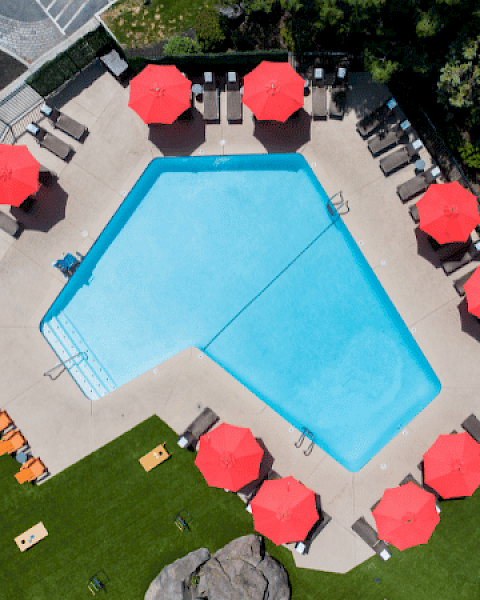An empty swimming pool surrounded by red umbrellas, lounge chairs, and greenery at an outdoor pool area.