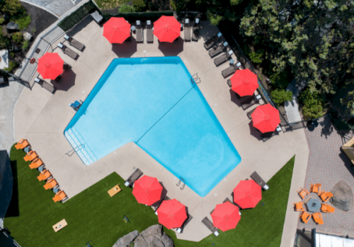 An empty swimming pool surrounded by red umbrellas, lounge chairs, and greenery at an outdoor pool area.