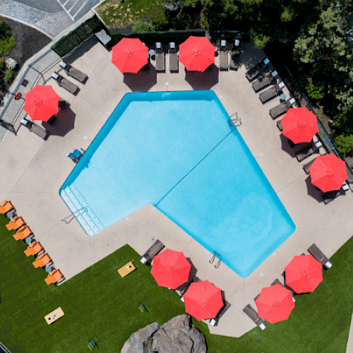 An empty swimming pool surrounded by red umbrellas, lounge chairs, and greenery at an outdoor pool area.