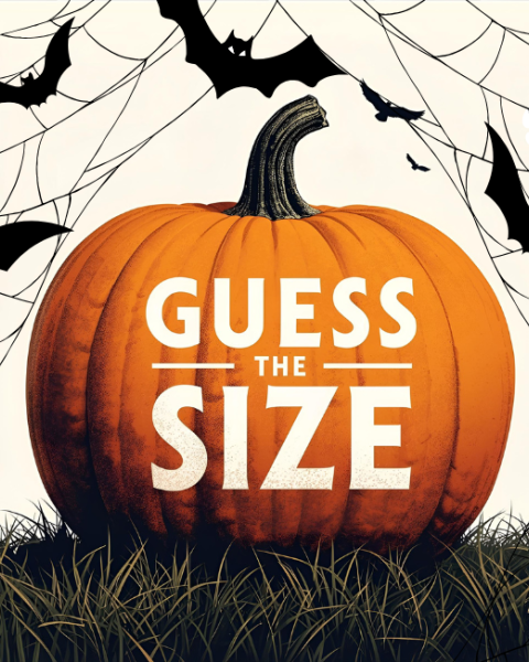 Join Riverhouse Lodge’s Big Ole Pumpkin Weight Competition! Guess the weight, win prizes, and enjoy a family-friendly Halloween in Bend, Oregon this October.