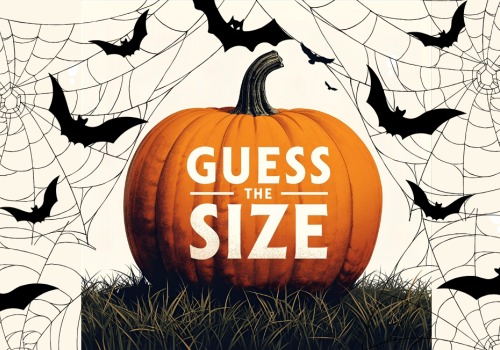 Join Riverhouse Lodge’s Big Ole Pumpkin Weight Competition! Guess the weight, win prizes, and enjoy a family-friendly Halloween in Bend, Oregon this October.