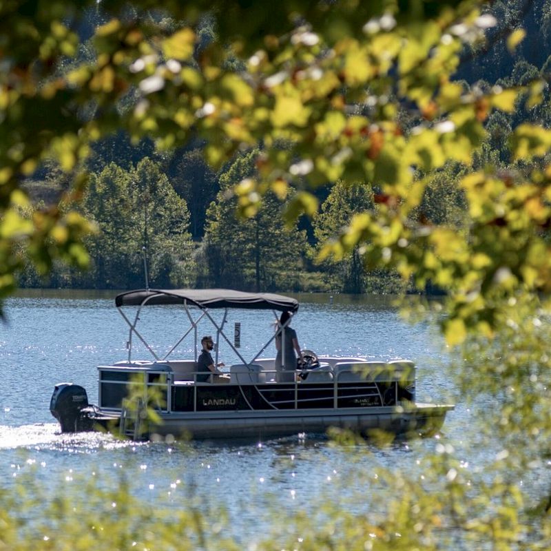 A pontoon boat with people aboard is cruising on a lake, framed by green leafy branches in the foreground and a scenic forest in the background.