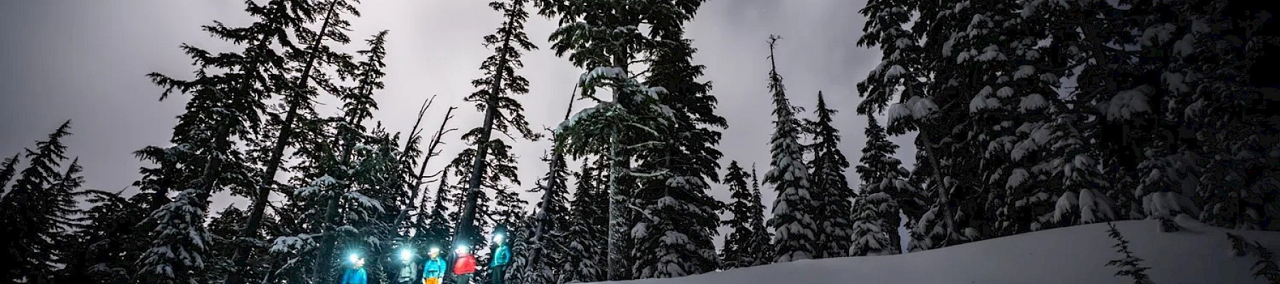 A snowy mountain slope with tall pine trees, skiers in bright gear near the forest edge, sun peeking through clouds in a moody winter scene.