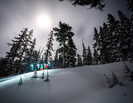 A snowy mountain slope with tall pine trees, skiers in bright gear near the forest edge, sun peeking through clouds in a moody winter scene.